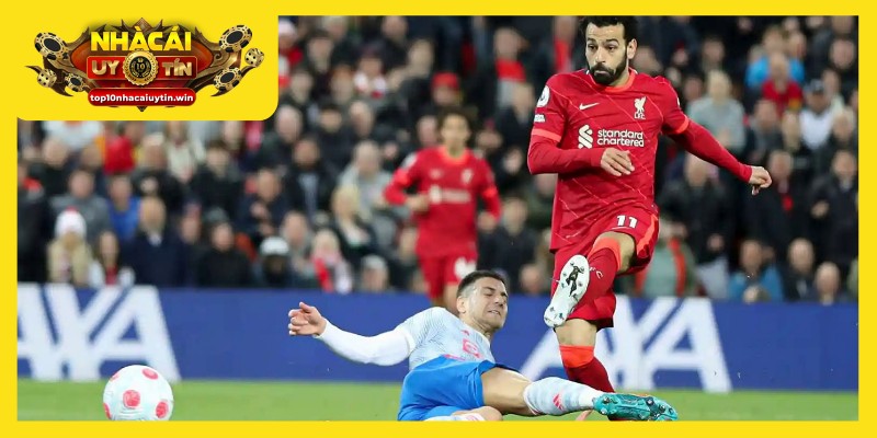 Tổng hợp thông tin trận đấu kỹ lưỡng